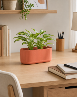 Work Desks