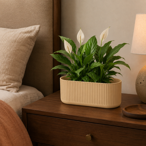 Bedside Tables