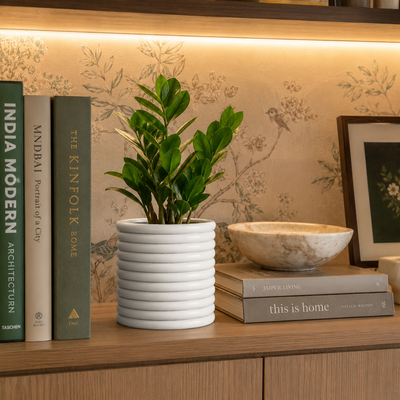 Bookshelves