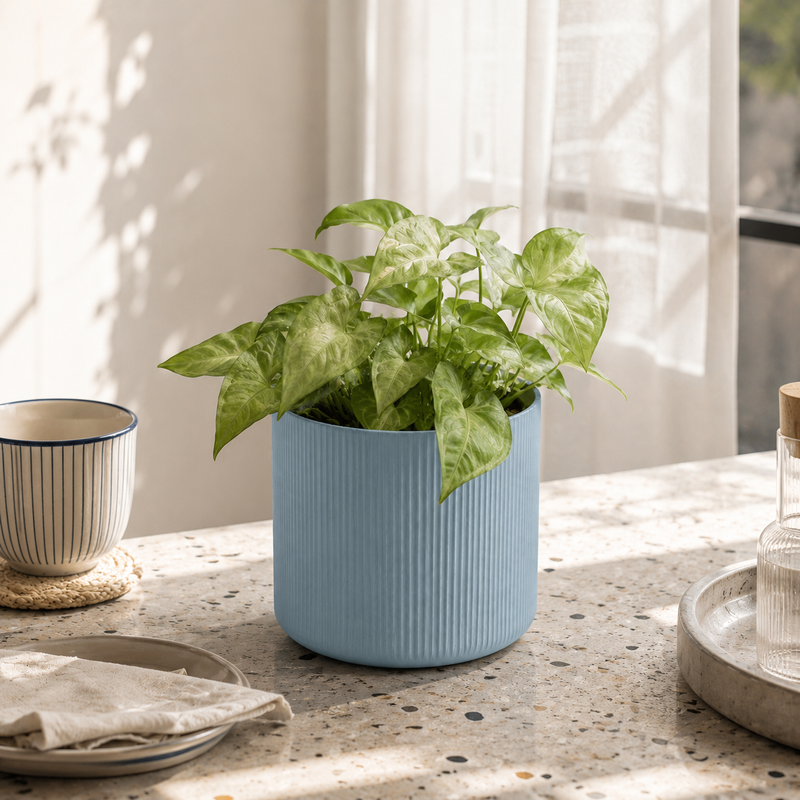Why you'll love Fluted Cylinder