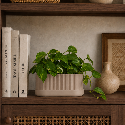 Bookshelves