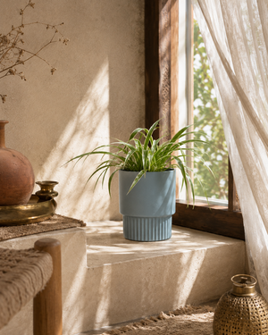 Window Ledges