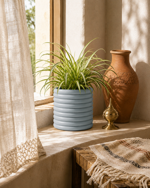 Window Ledges