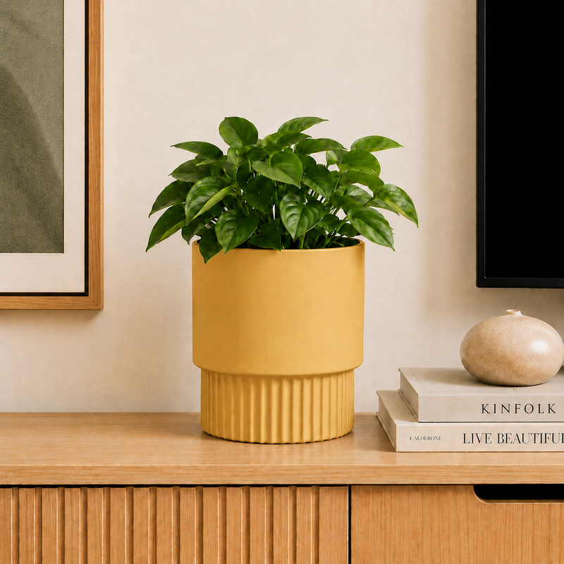 Mustard Yellow