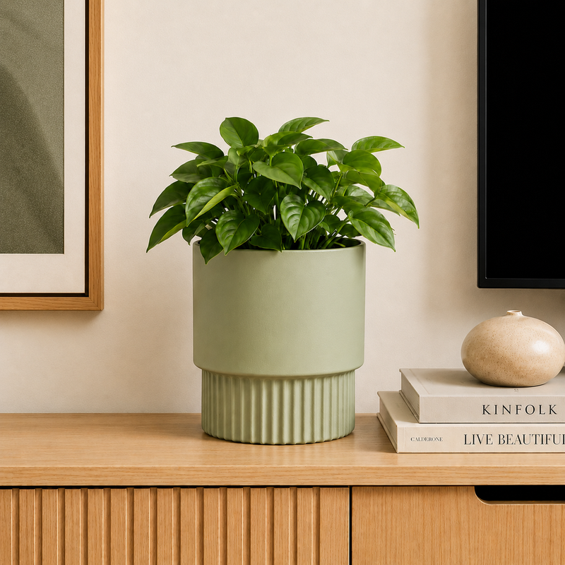Sage Green