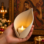 Warm Ivory
