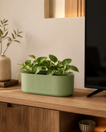 Sage Green