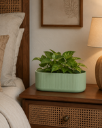 Sage Green