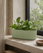 Sage Green
