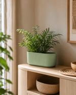 Sage Green