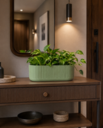 Sage Green