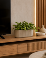 Sand Beige