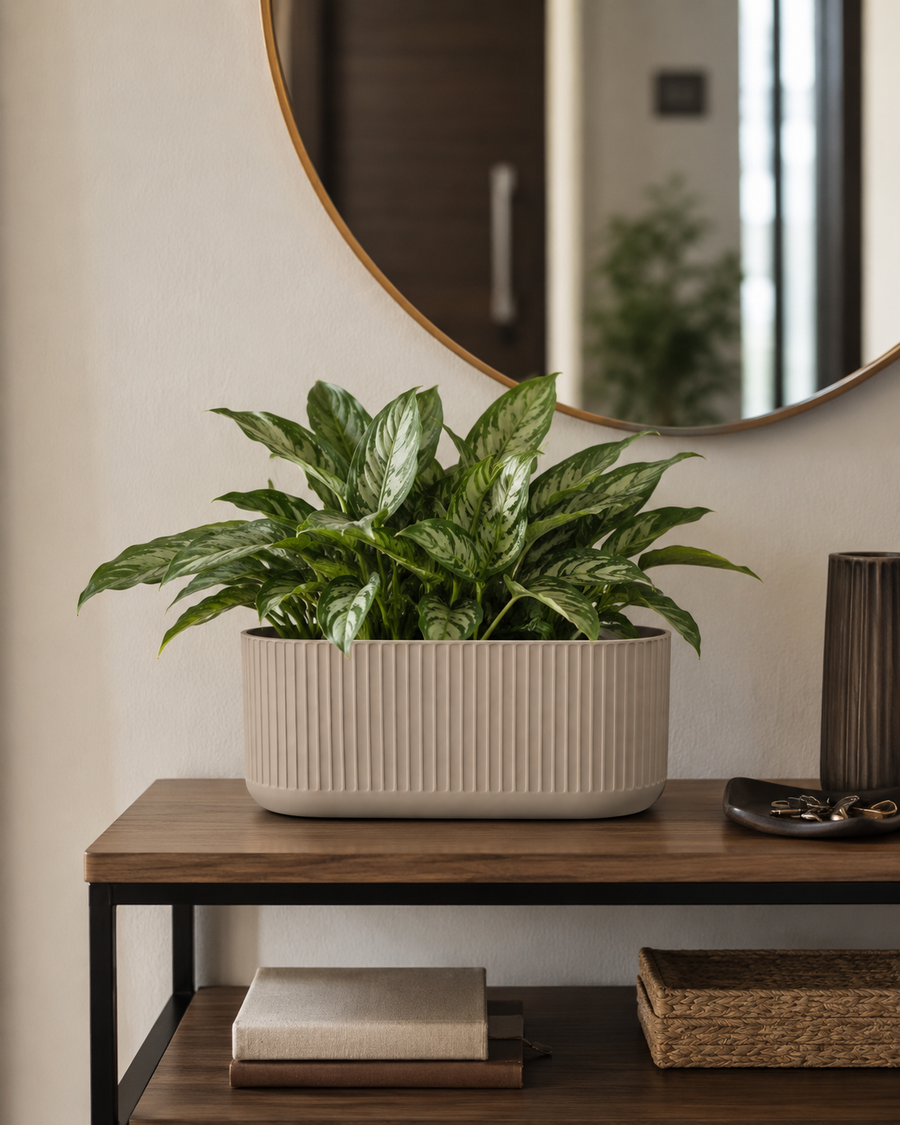 Warm TV Unit Corner