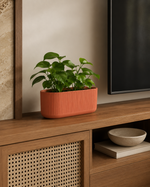 Terracotta