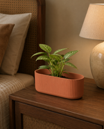 Terracotta