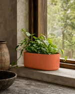 Terracotta