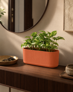 Terracotta