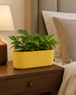 Mustard Yellow