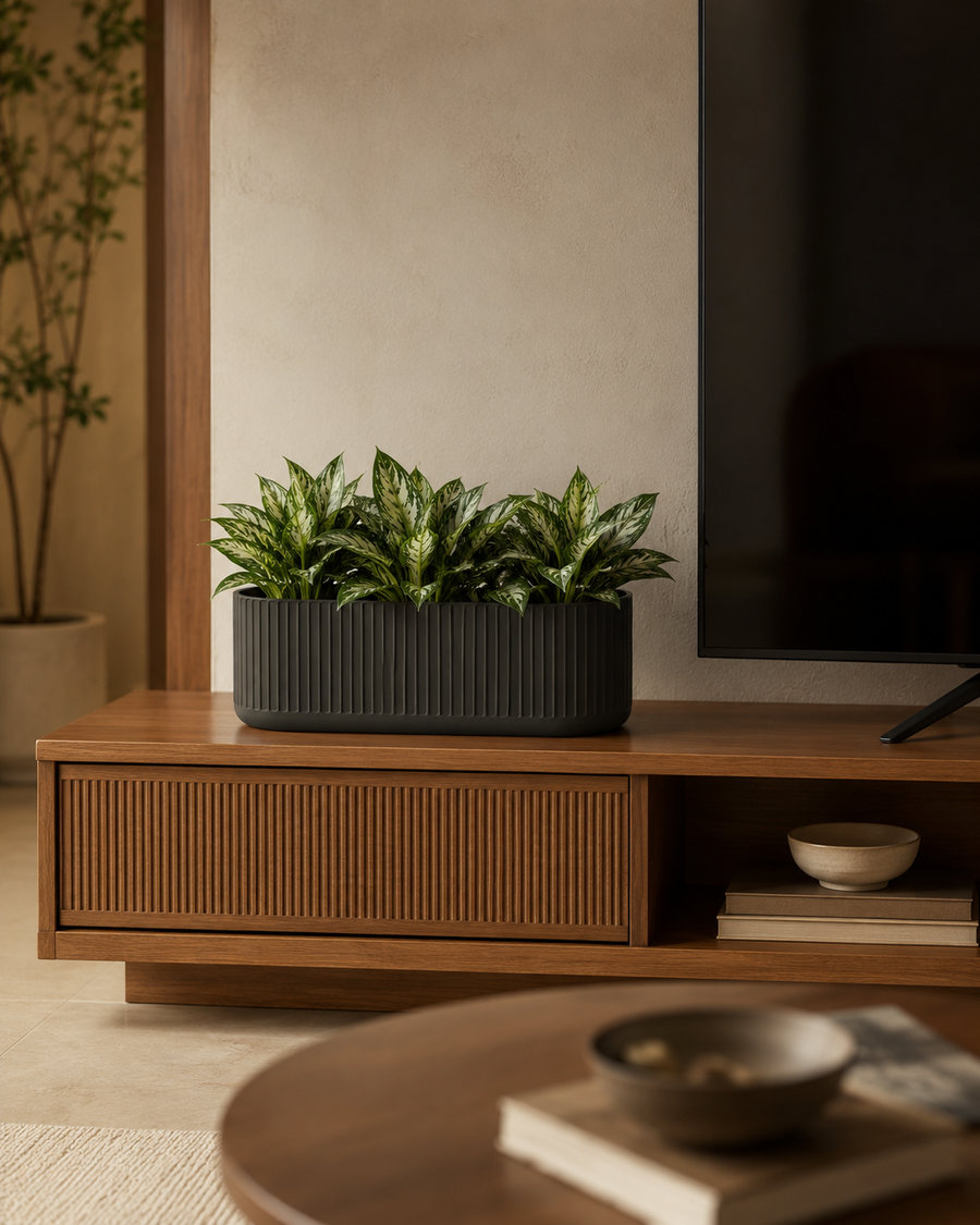 Warm TV Unit Corner