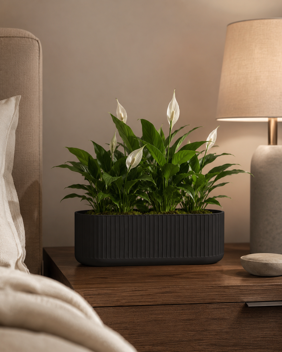 Warm TV Unit Corner