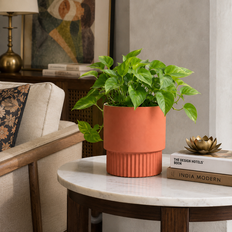 Why you'll love Modern Pedestal