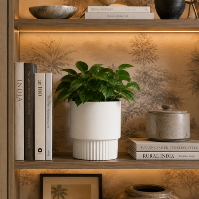 Bookshelves