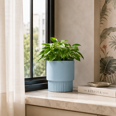 Window Ledges