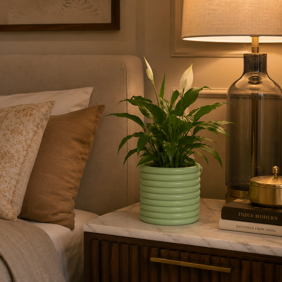 Ripple Cylinder Pot
