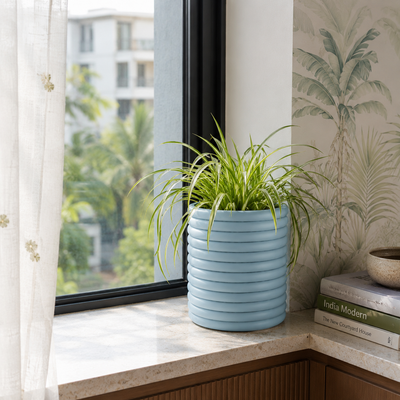 Window Shelves