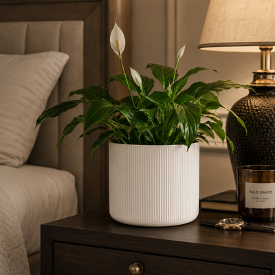 Bedroom Corners