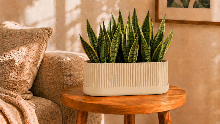 Fluted Capsule Pot