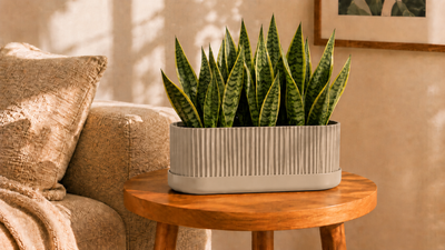 Side Tables
