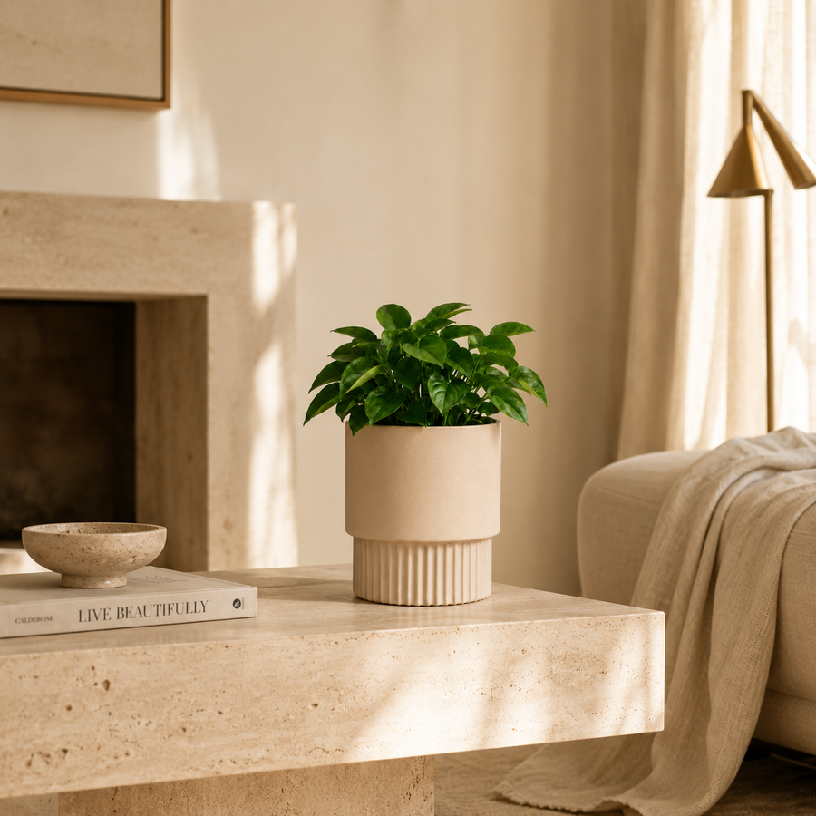 Warm Minimal