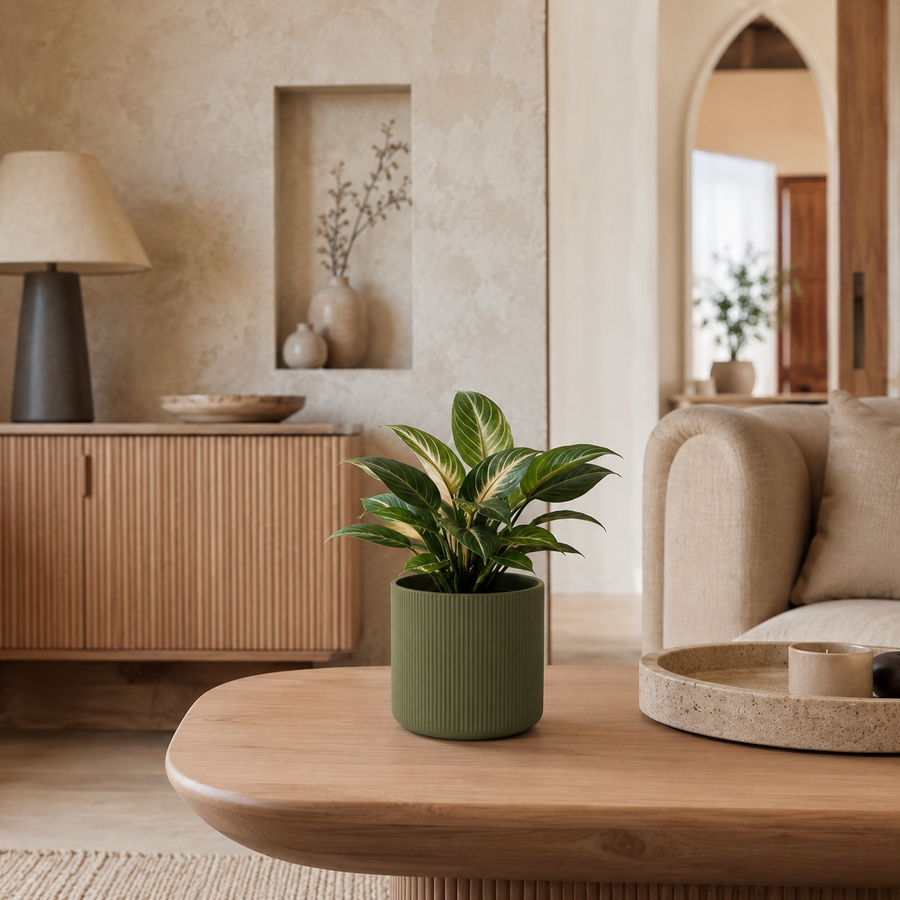 Organic Modern