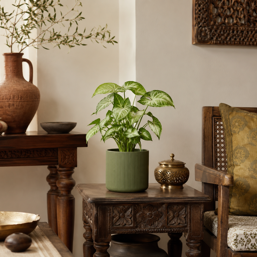 Heritage Boho