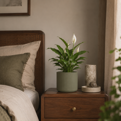 Bedside Corner
