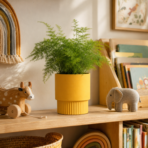 Kids' Room Shelf