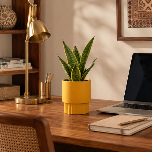 Work Desk