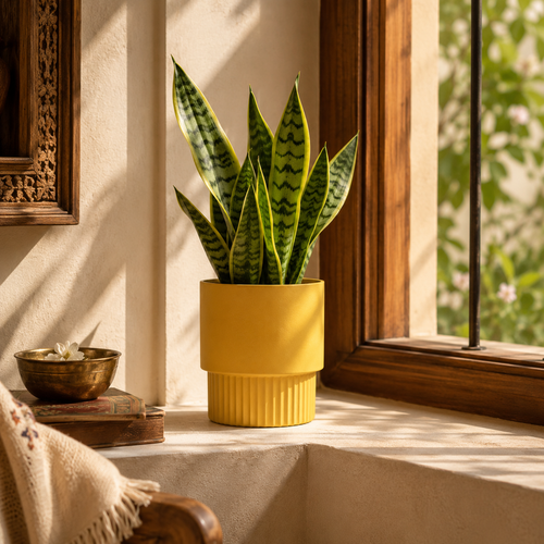 Window Ledge
