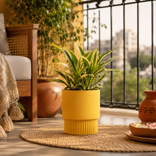 Balcony Corner