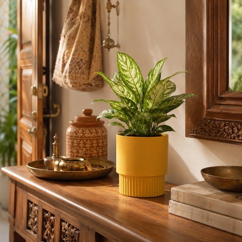 Entryway Console