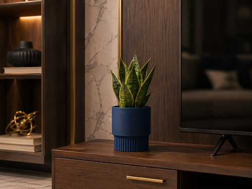 TV Unit