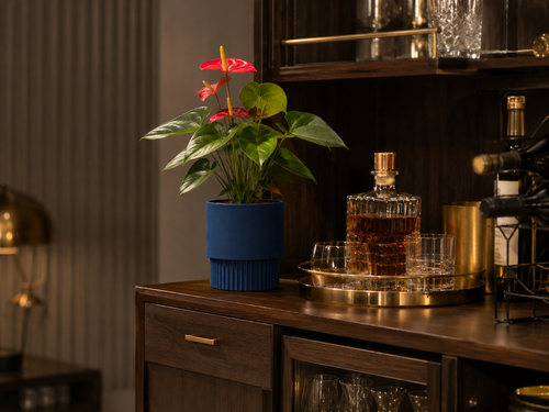 Bar Cabinet