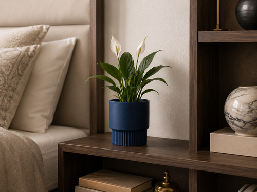 Bedroom Shelf