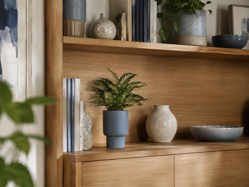Bookshelf
