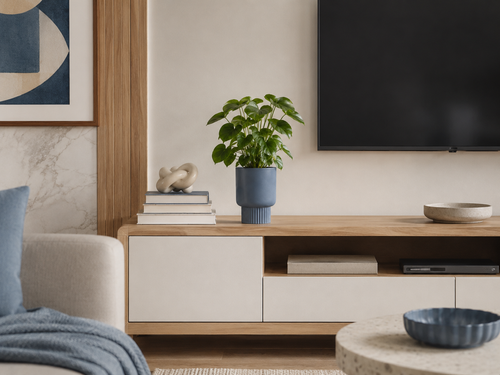 TV Unit