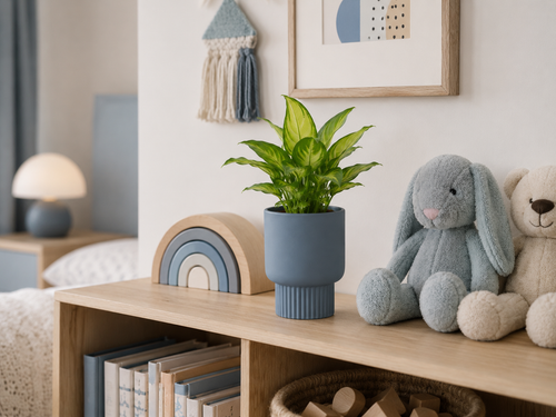 Kids’ Room Shelf