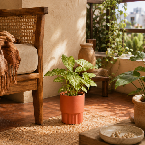 Balcony Corner