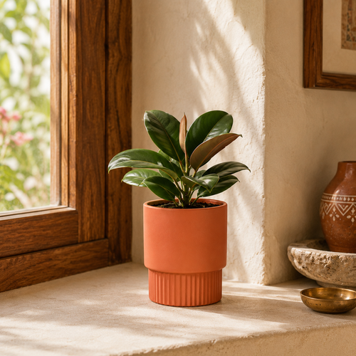 Window Ledge