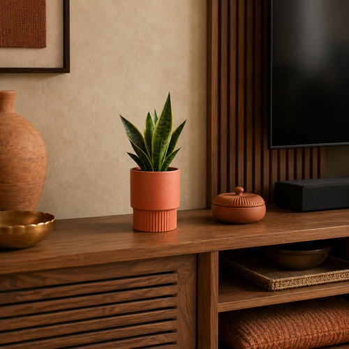 TV Unit